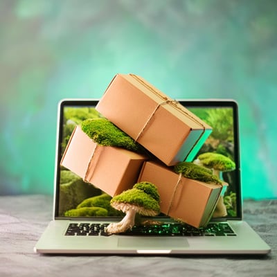 Smart and Sustainable: Raal’s IT Asset Logistics and ESG Efforts